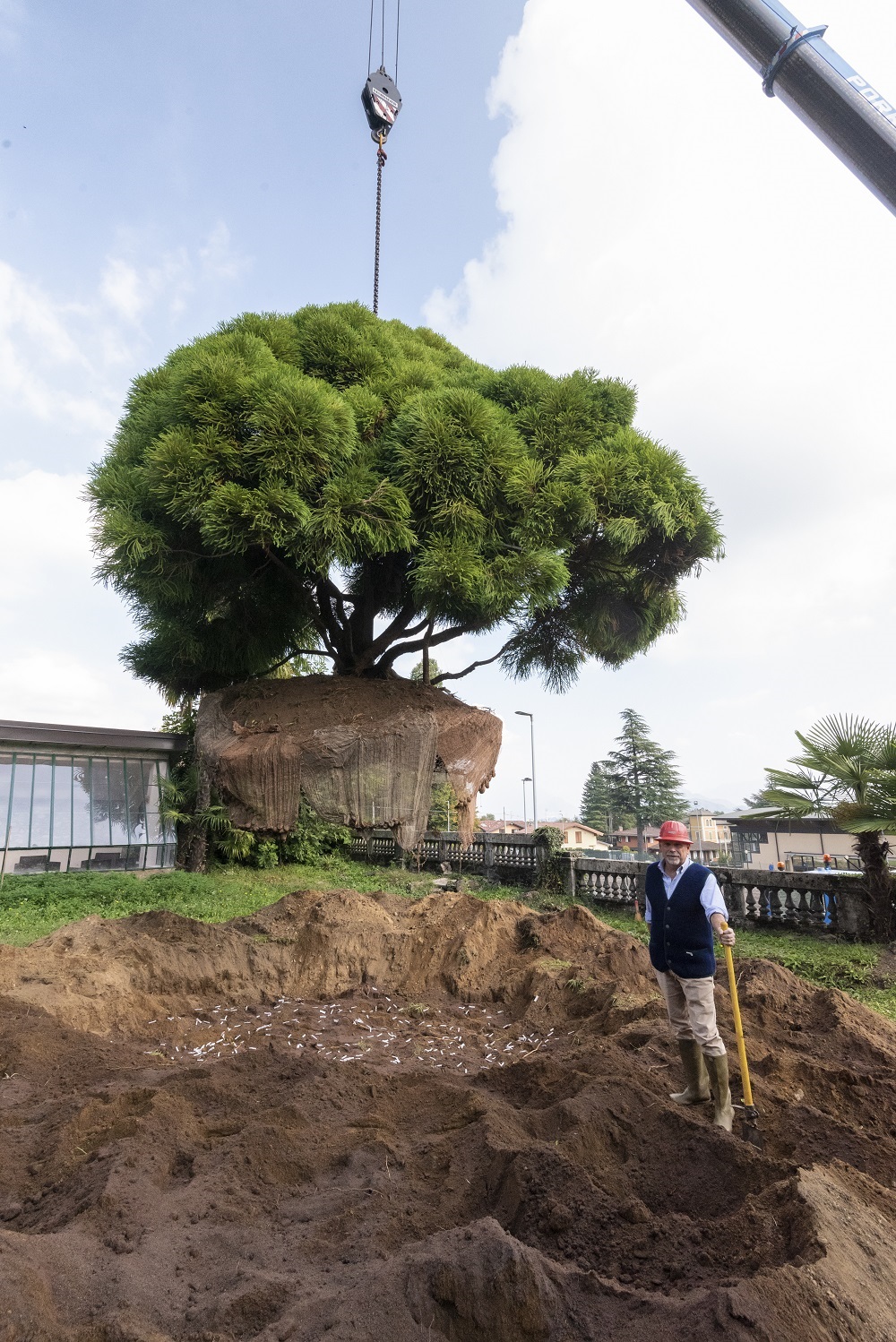 LITE-STRIPS Baum